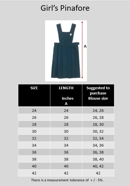 TNPS Girl's Pinafore